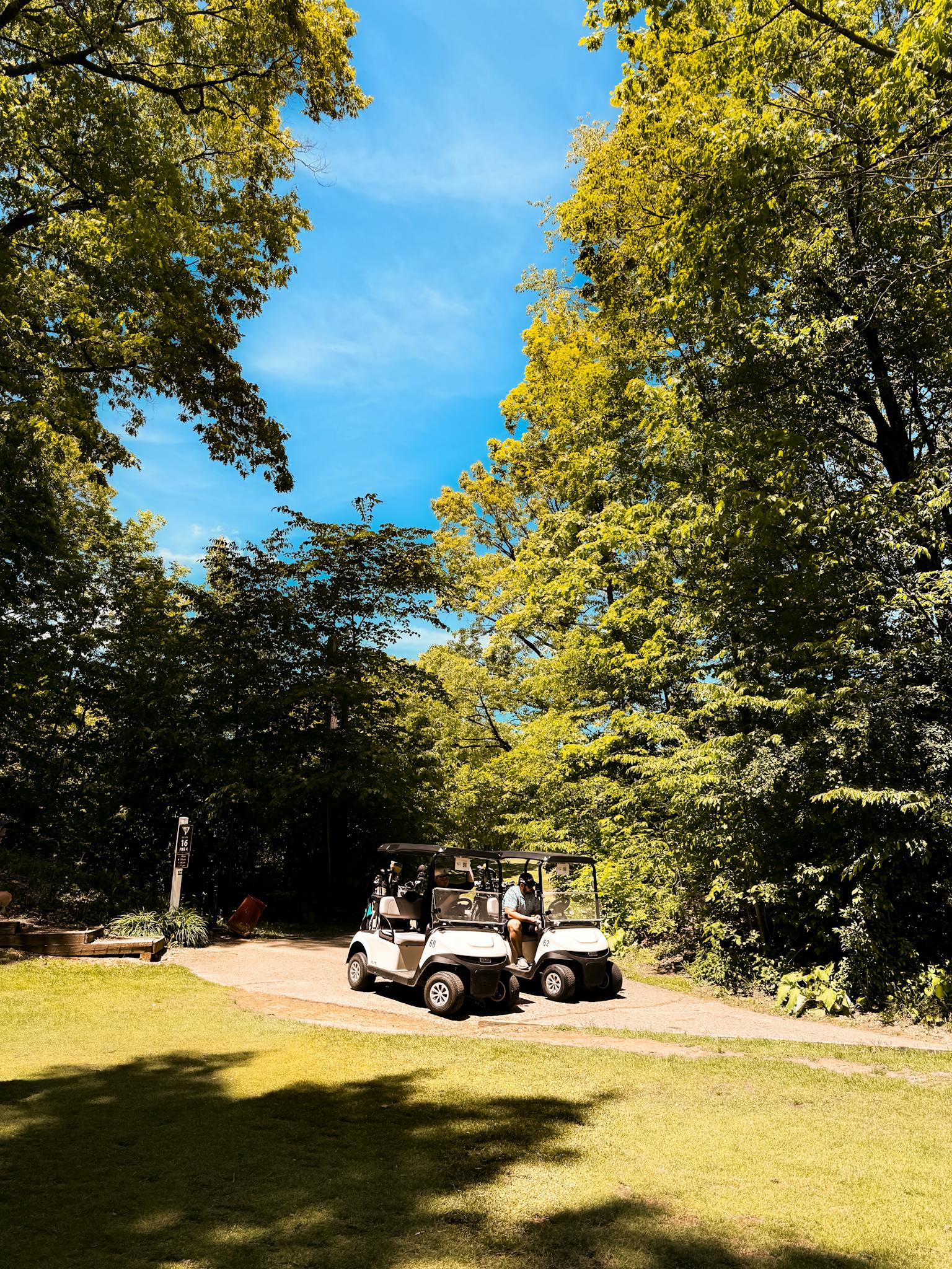 Two golf carts on a sunlit forest path surrounded by lush greenery and clear blue sky.